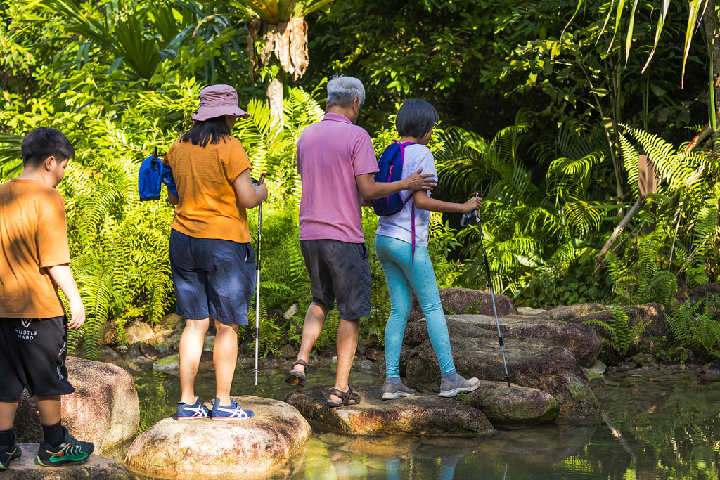 Rainforest Wild ASIA Balance Trek